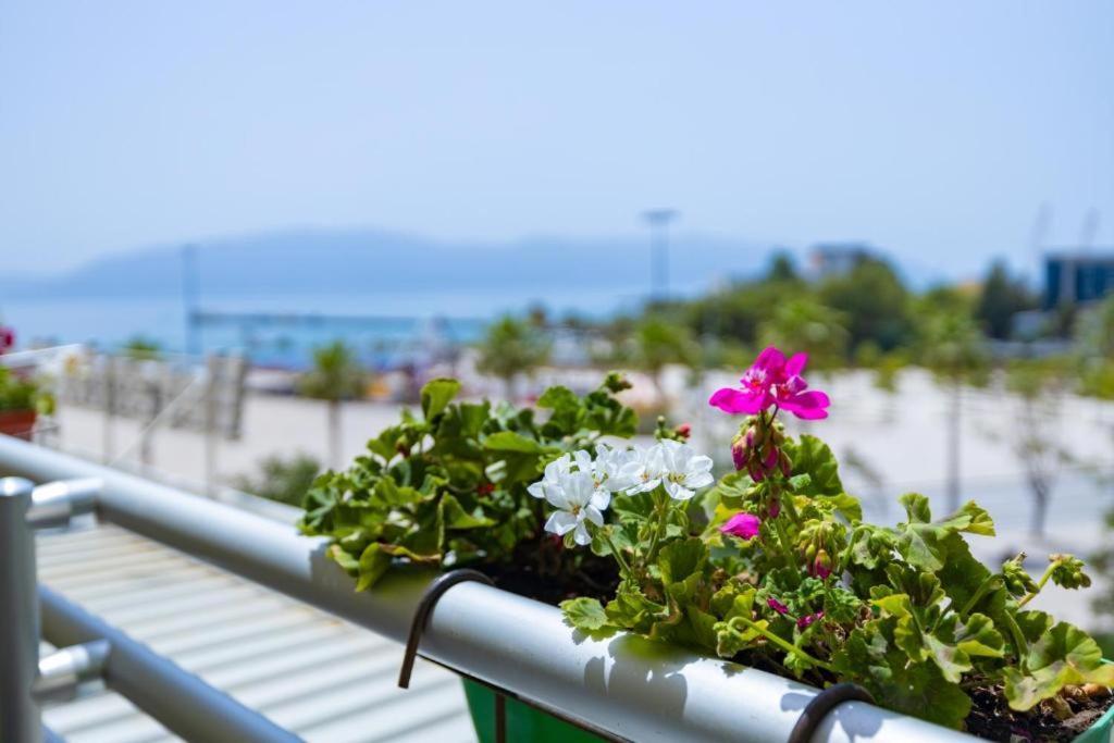 Hotel Veranda Boutique 1